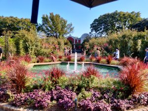 English flower garden, flower bear