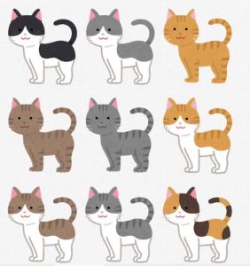 ねこ、いろいろな、いろんな