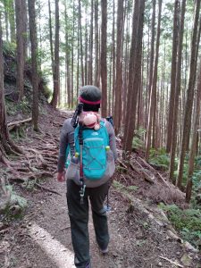explore in Japan, Mountain, forest