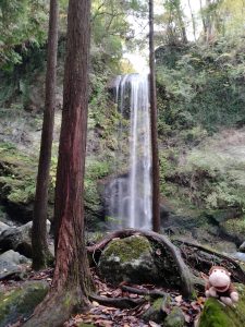 falls, hiking, mountain, water, river