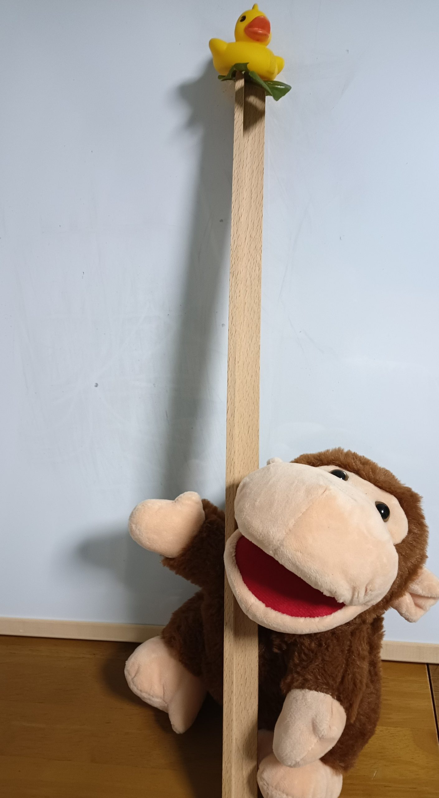 Naru teacher, native Japanese