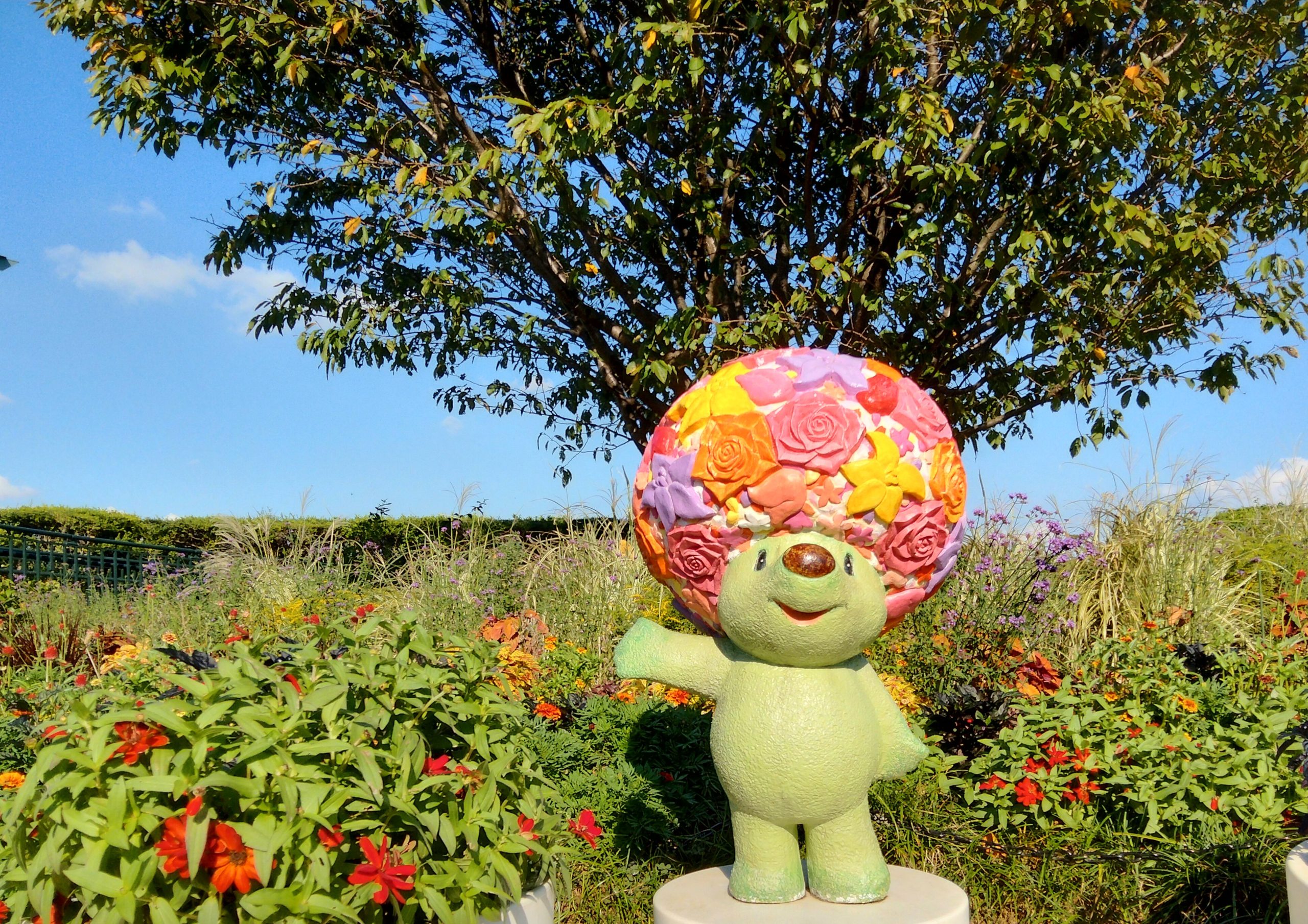 Yokohama, flower, rose, garden