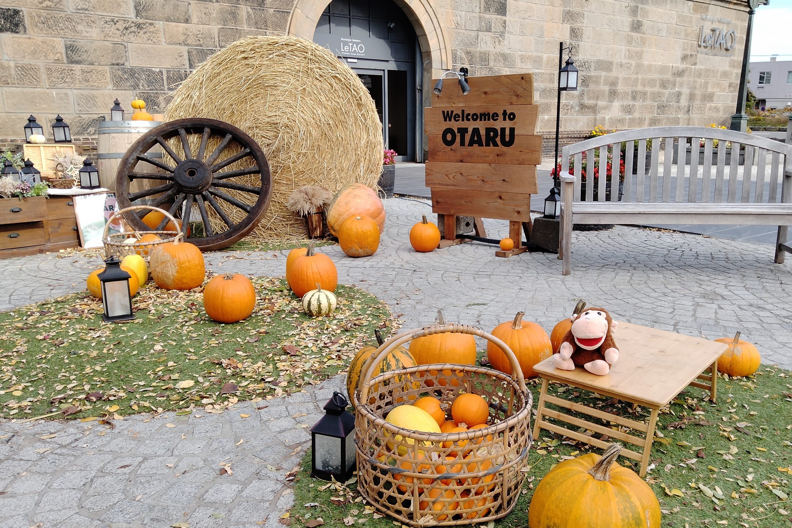 Otaru, Hokkaido, pumpkin, Halloween