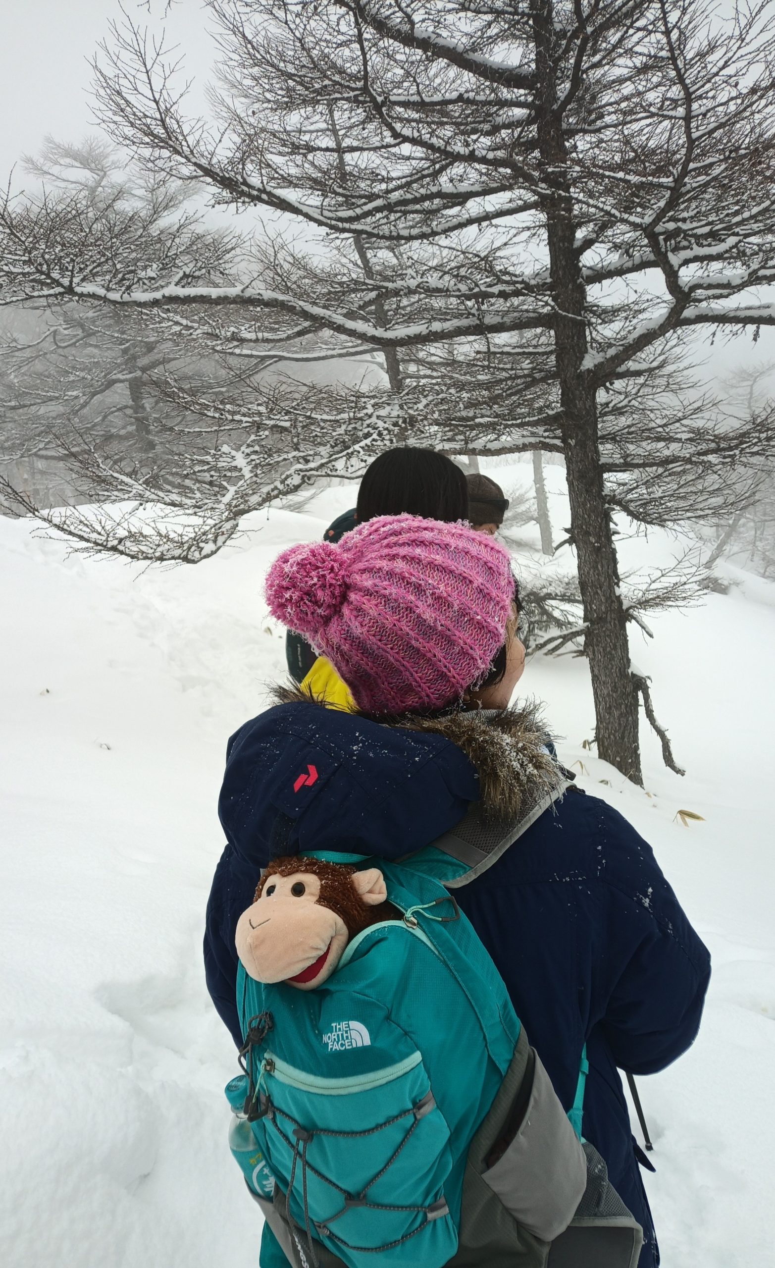 Karuizawa, snow, ski, snowboard